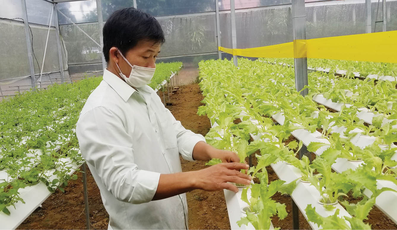 Quy hoạch khu và vùng nông nghiệp ứng dụng công nghệ cao