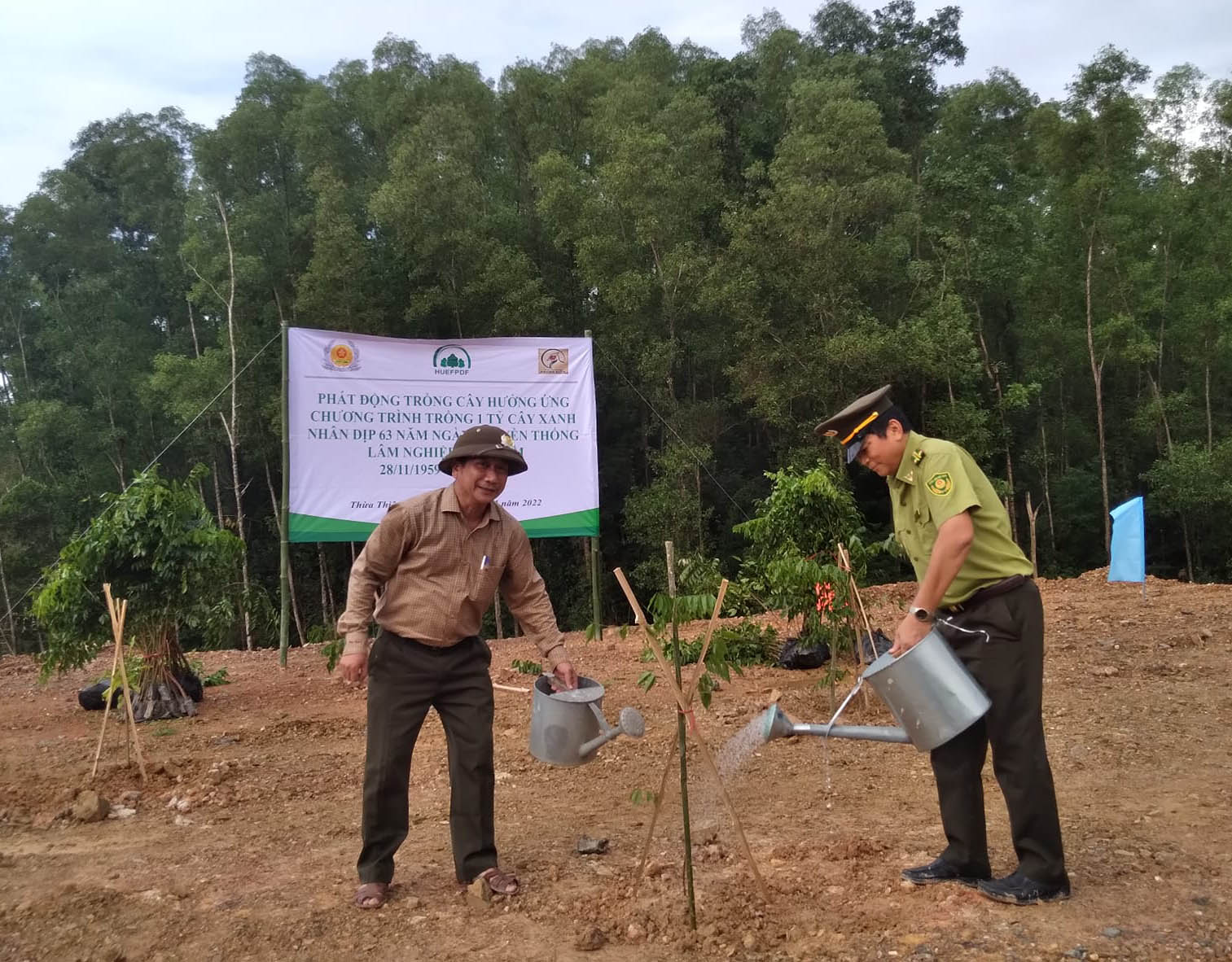 Chi trồng rừng thay thế gần 149 tỷ đồng