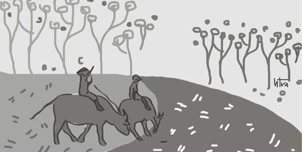 Đường làng - nơi ký ức tìm về