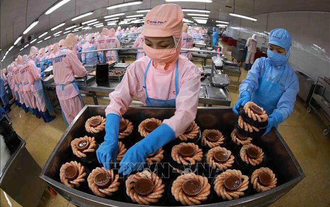 Tận dụng lợi thế để xuất khẩu tôm đạt mục tiêu năm 2023