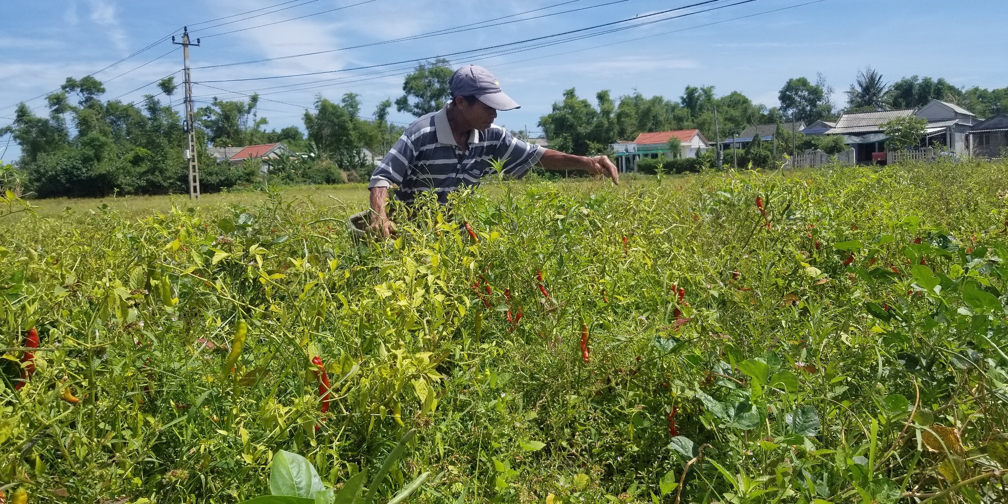 Cần bổ sung, điều chỉnh nhiều vấn đề để phù hợp với thực tiễn