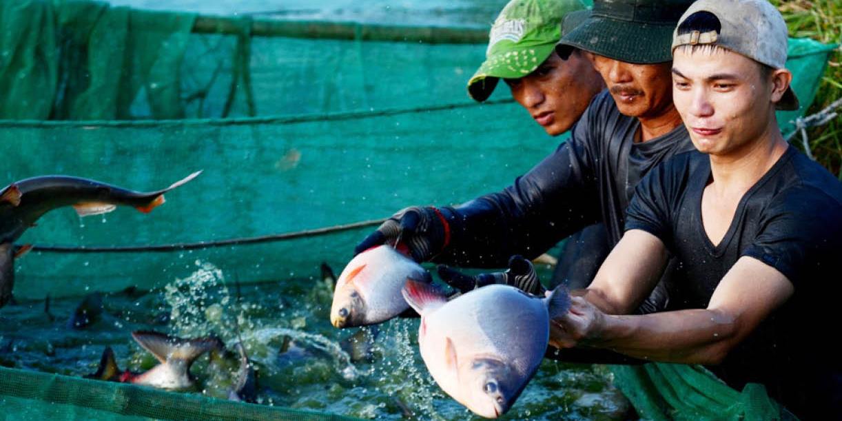 Hỗ trợ, vươn lên sản xuất, kinh doanh giỏi