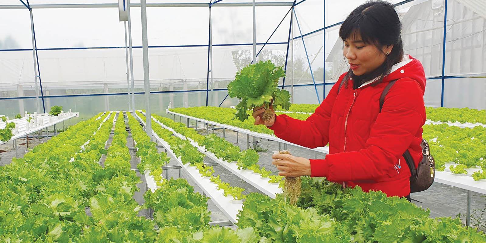 Phát triển nông nghiệp hữu cơ, nông nghiệp tuần hoàn