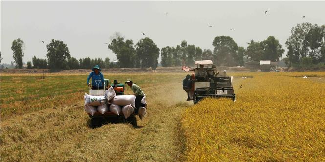 Tổ chức lấy ý kiến đối với dự thảo Luật Hợp tác xã sửa đổi