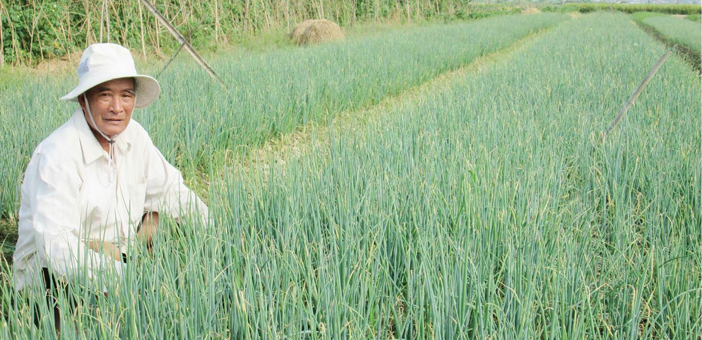 Đòn bẩy từ Quỹ Hỗ trợ nông dân