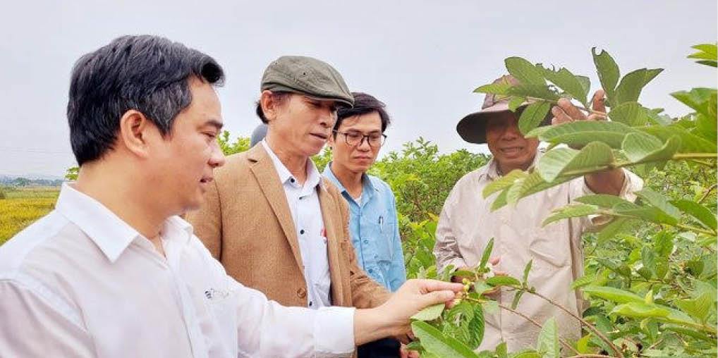 Khi nông dân có vốn