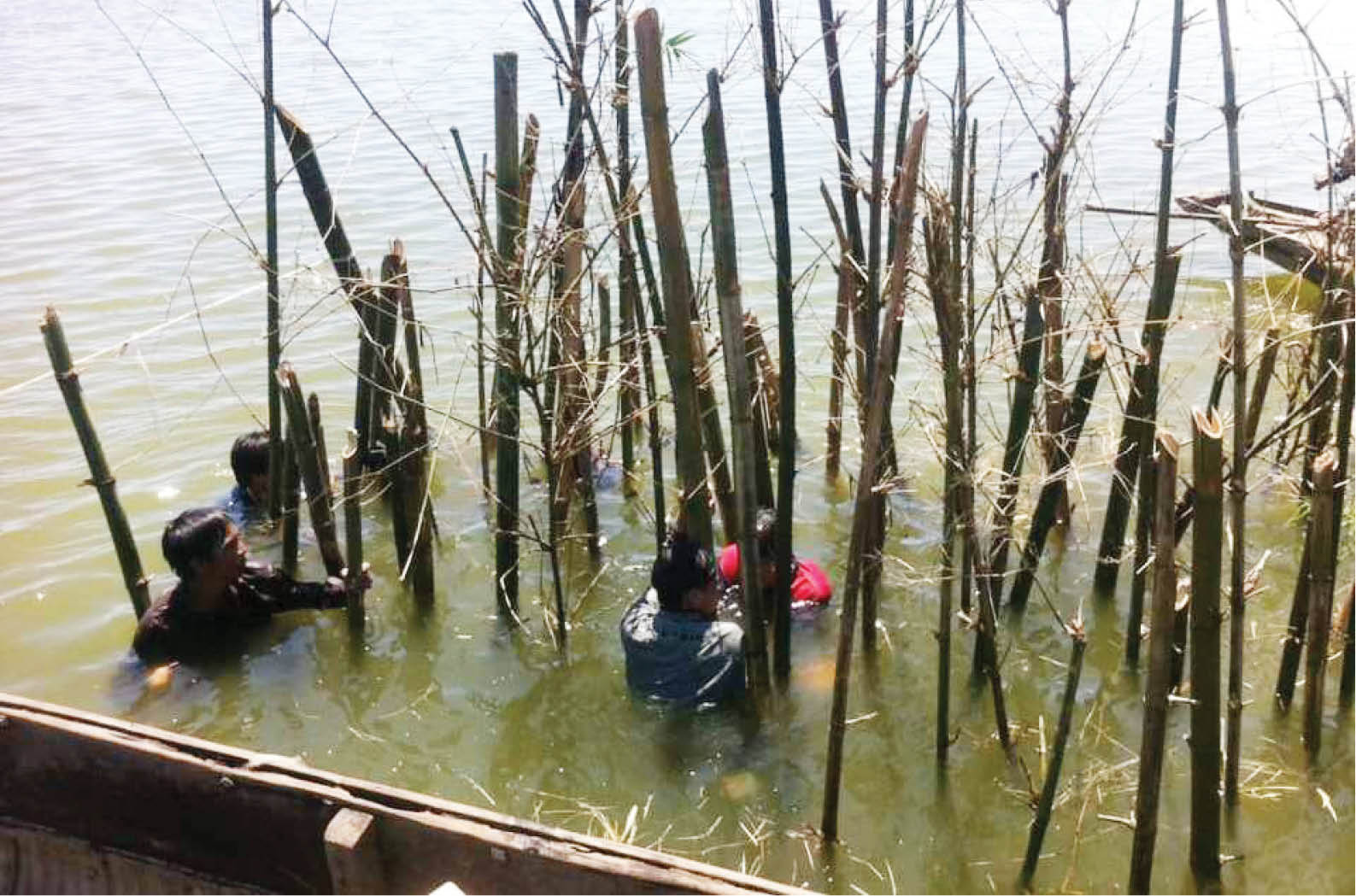 Bền vững cho nguồn lợi thủy sản