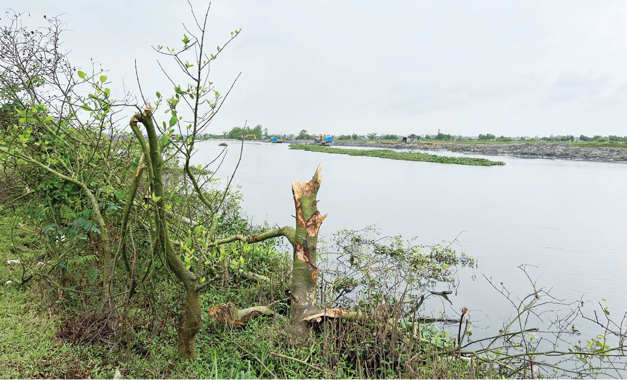 Xử phạt đơn vị thi công, buộc trồng lại diện tích thiệt hại