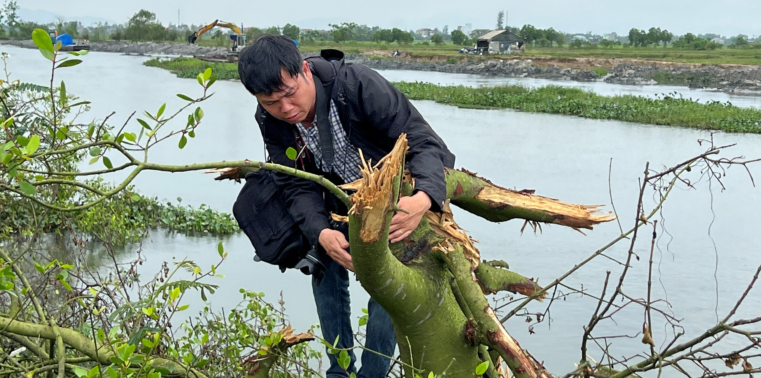 Kiểm điểm trách nhiệm các tập thể, cá nhân vụ san ủi 0,72 ha rừng ngập mặn
