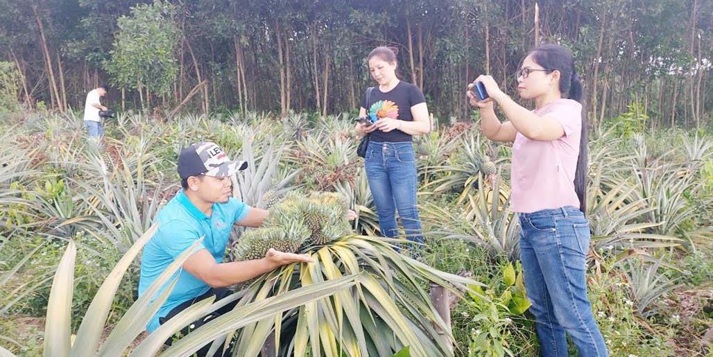 Nam Đông niềm cảm hứng kinh tế xanh