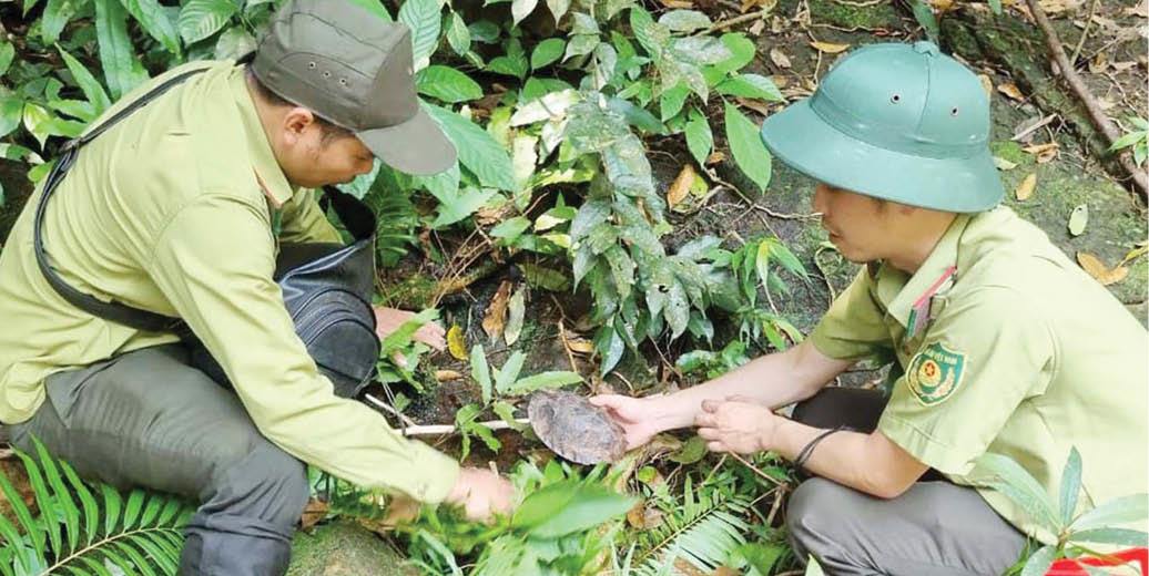 Săn bắt, tiêu thụ động vật hoang dã Nhiều nguy cơ