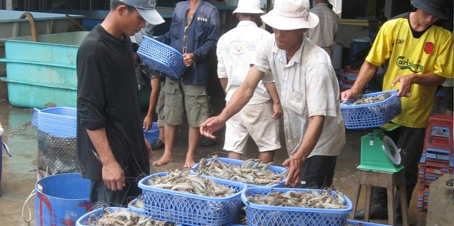 Thuế nhập khẩu nguyên liệu thức ăn ‘đè’ ngành chăn nuôi, thủy sản