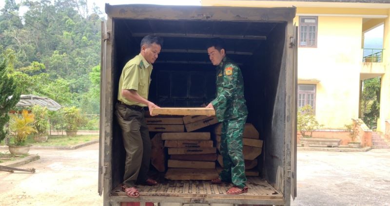 Bắt giữ đối tượng vận chuyển trái phép 19 phách gỗ trong khu vực biên giới