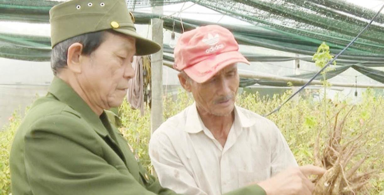 Chung sức và sẻ chia