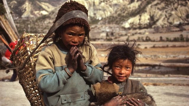 Bảo vệ tính bền vững bất chấp nghịch cảnh ở châu Á - Thái Bình Dương