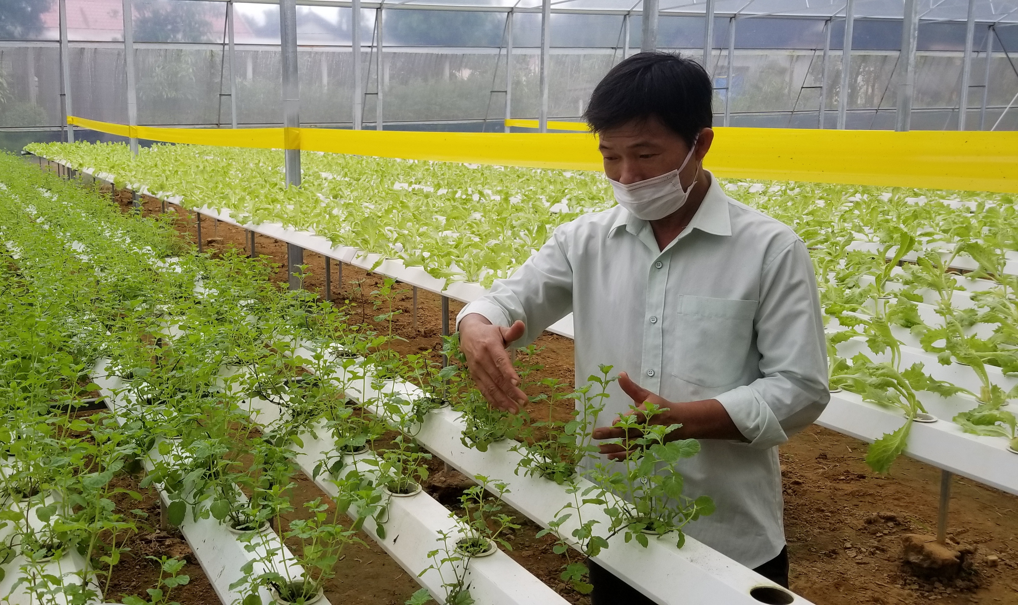 Thực hành nông nghiệp tốt theo tiêu chuẩn VietGAP