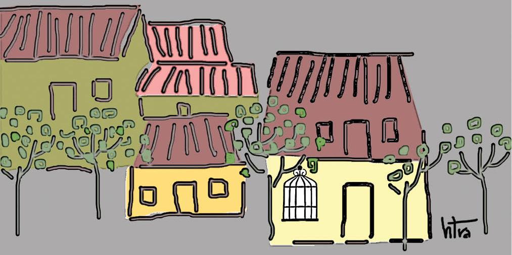 Góc sân mùa lá non