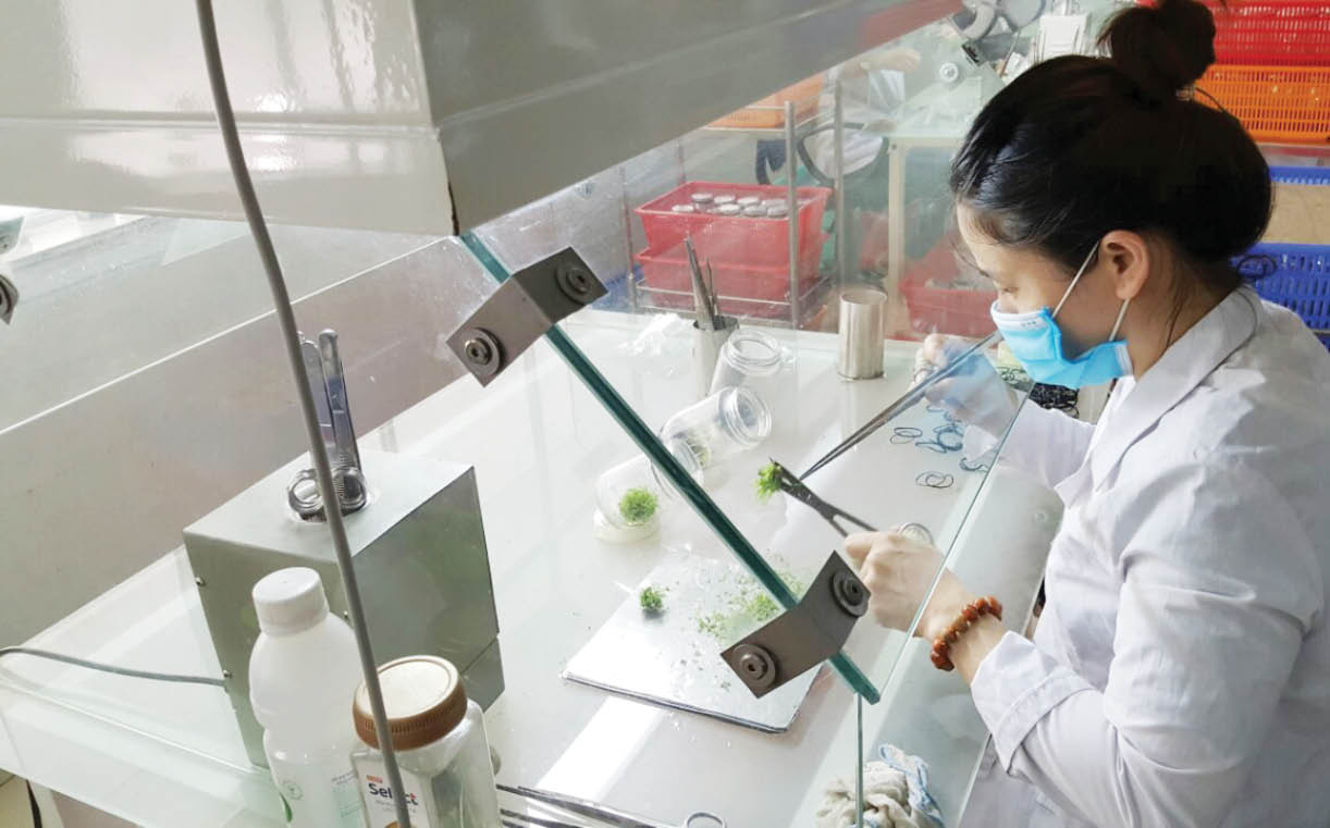 Nhân lực khoa học công nghệ cần được phát huy