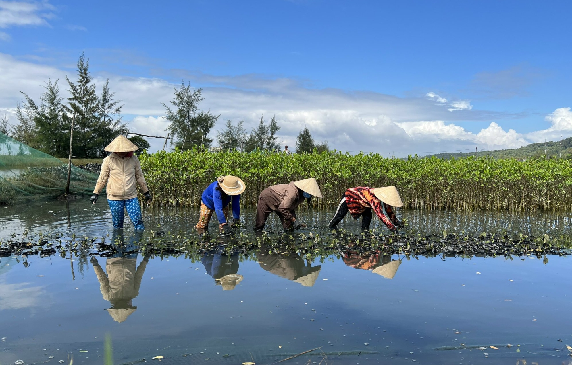 Đề cao vai trò của phụ nữ tham gia chống biến đổi khí hậu