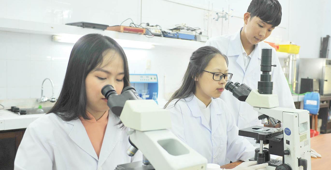 Cải tiến chất lượng hậu kiểm định