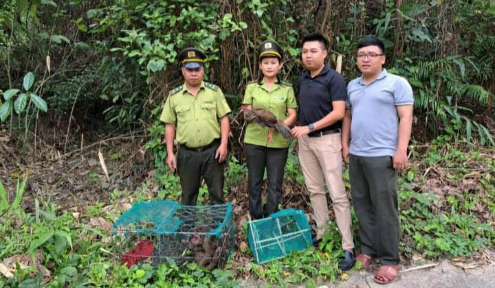 Bản án thích đáng cho hành vi săn bắt động vật rừng