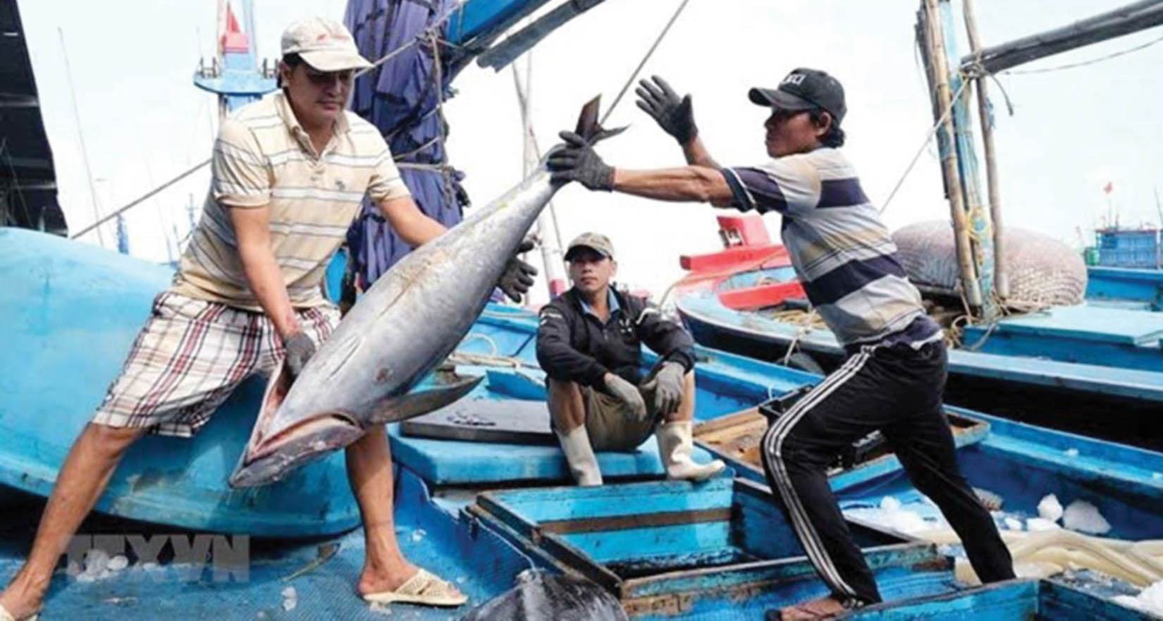 ASEAN Thiết lập chính sách nghề cá chung để tăng cường an ninh lương thực