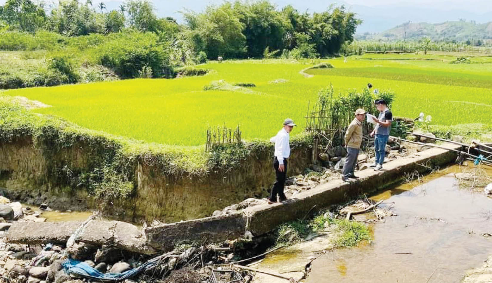 Đẩy mạnh cơ cấu lại ngành nông nghiệp A Lưới
