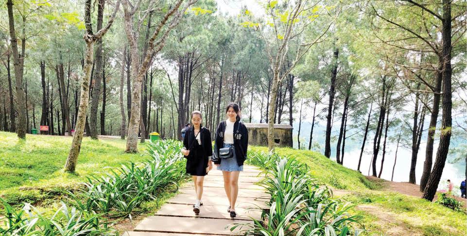 Dự án cải tạo, chỉnh trang khu vực đồi Vọng Cảnh Đẹp và thu hút