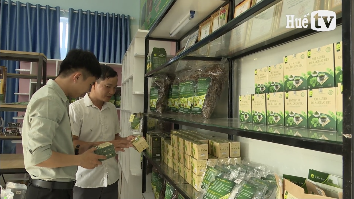 Triển khai mô hình xã thông minh Quảng Thọ