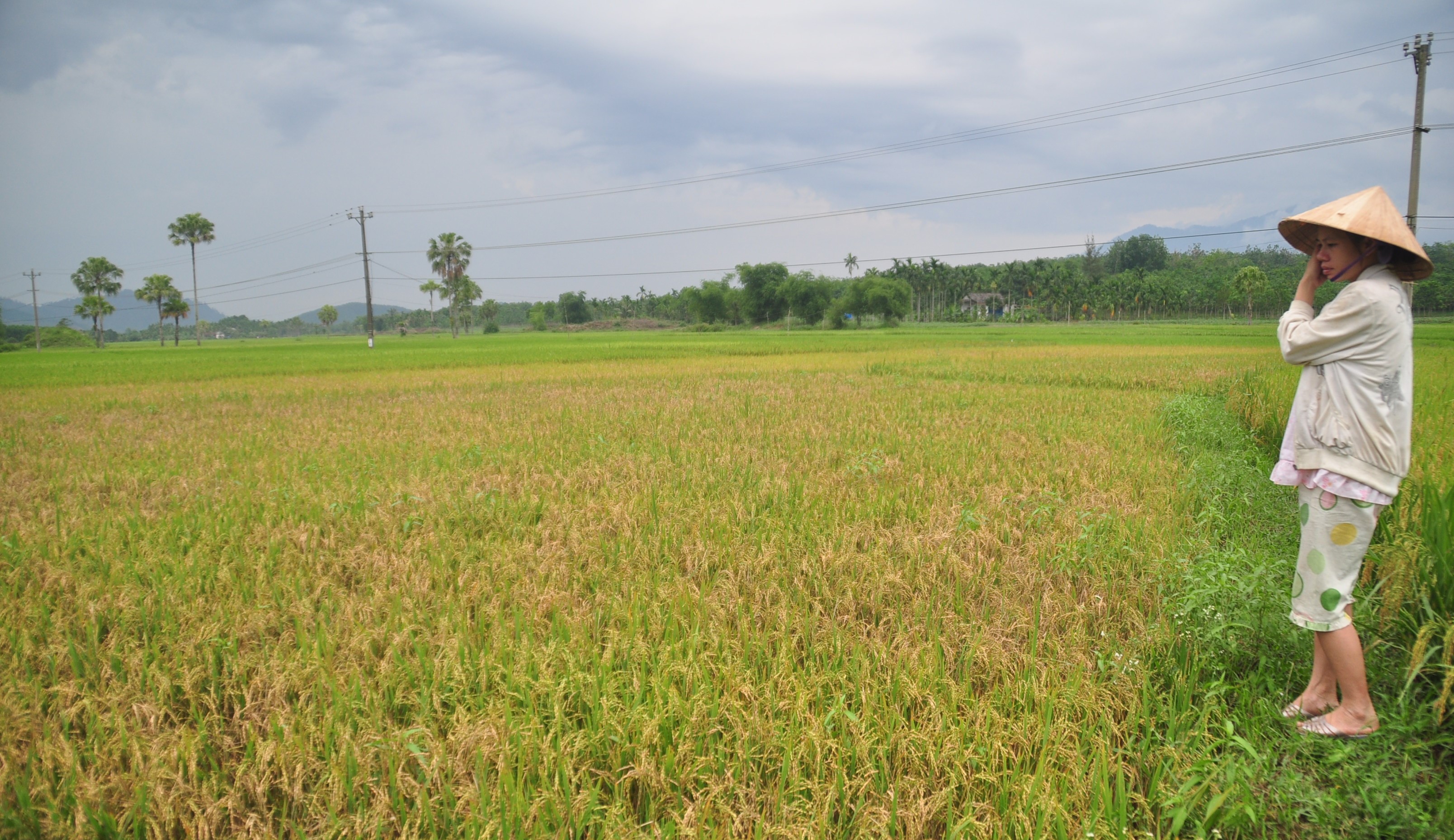 Nắng nóng gay gắt, đề phòng thời tiết nguy hiểm