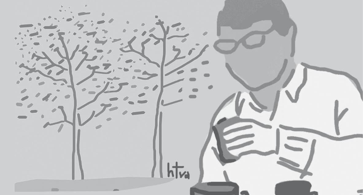 Đậm đà nước vối quê ta