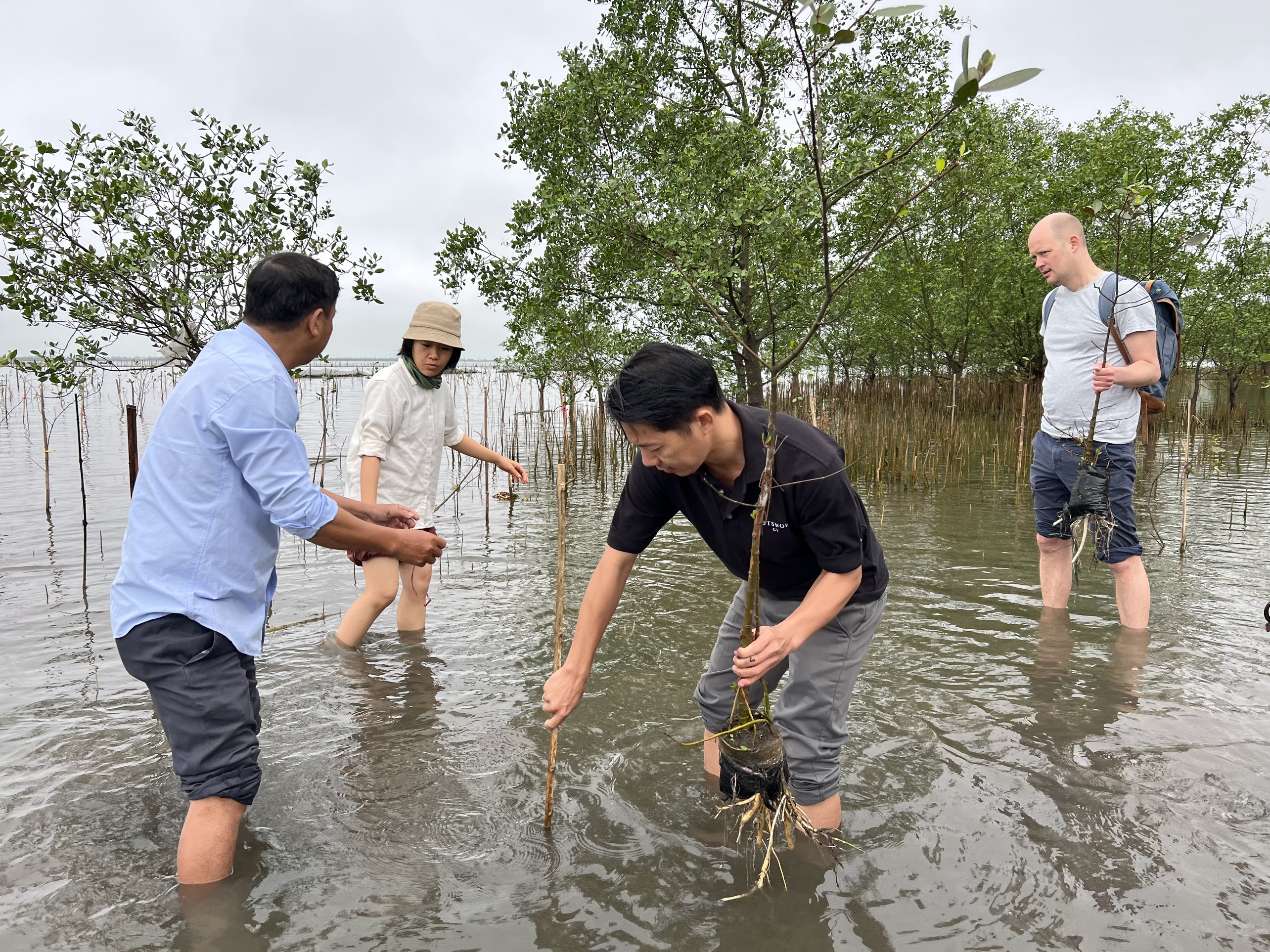 Trồng rừng hôm nay, nguồn lợi mai sau