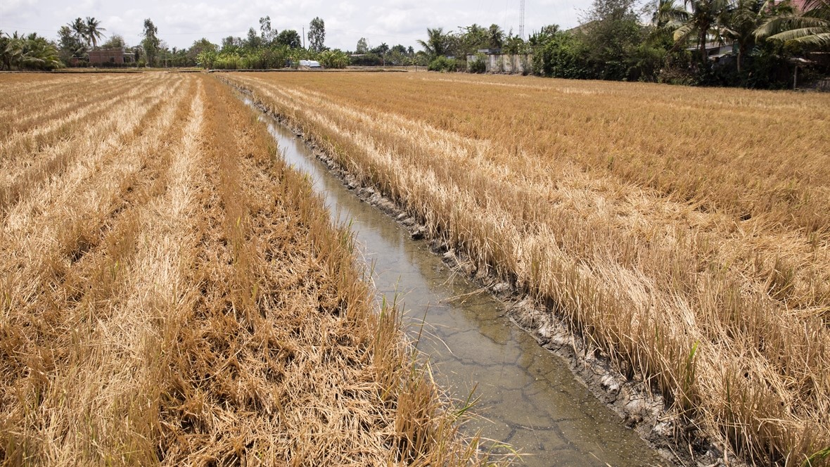Tái cấu trúc tài chính toàn cầu để giúp các quốc gia đối phó với biến đổi khí hậu