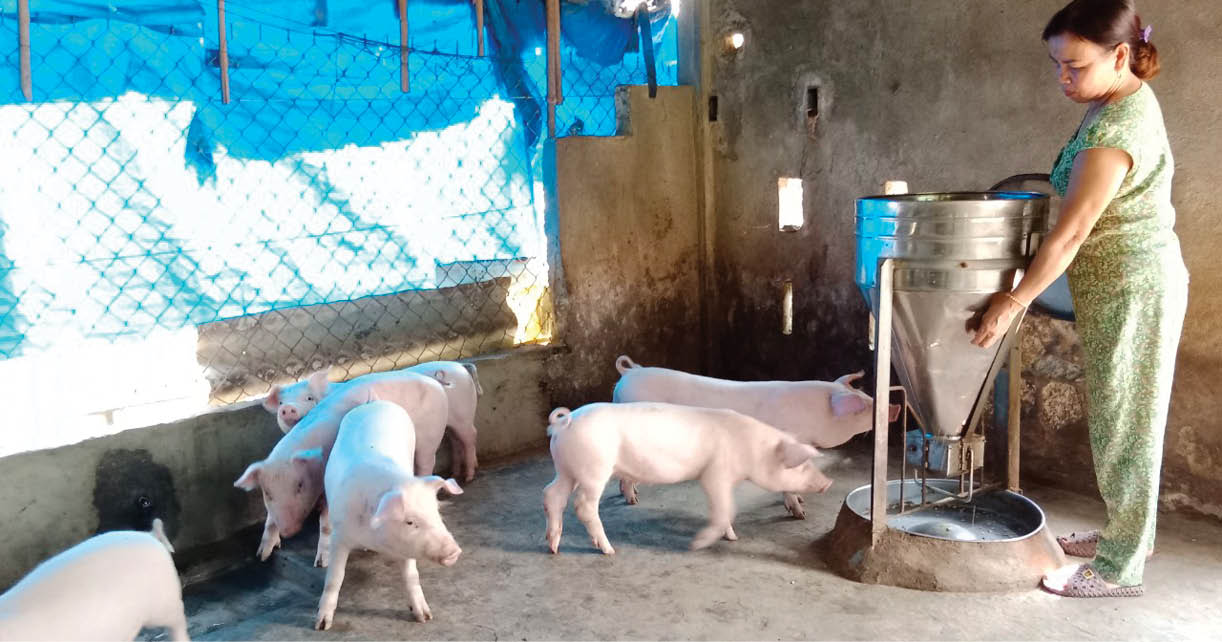 Khi chị em làm kinh tế