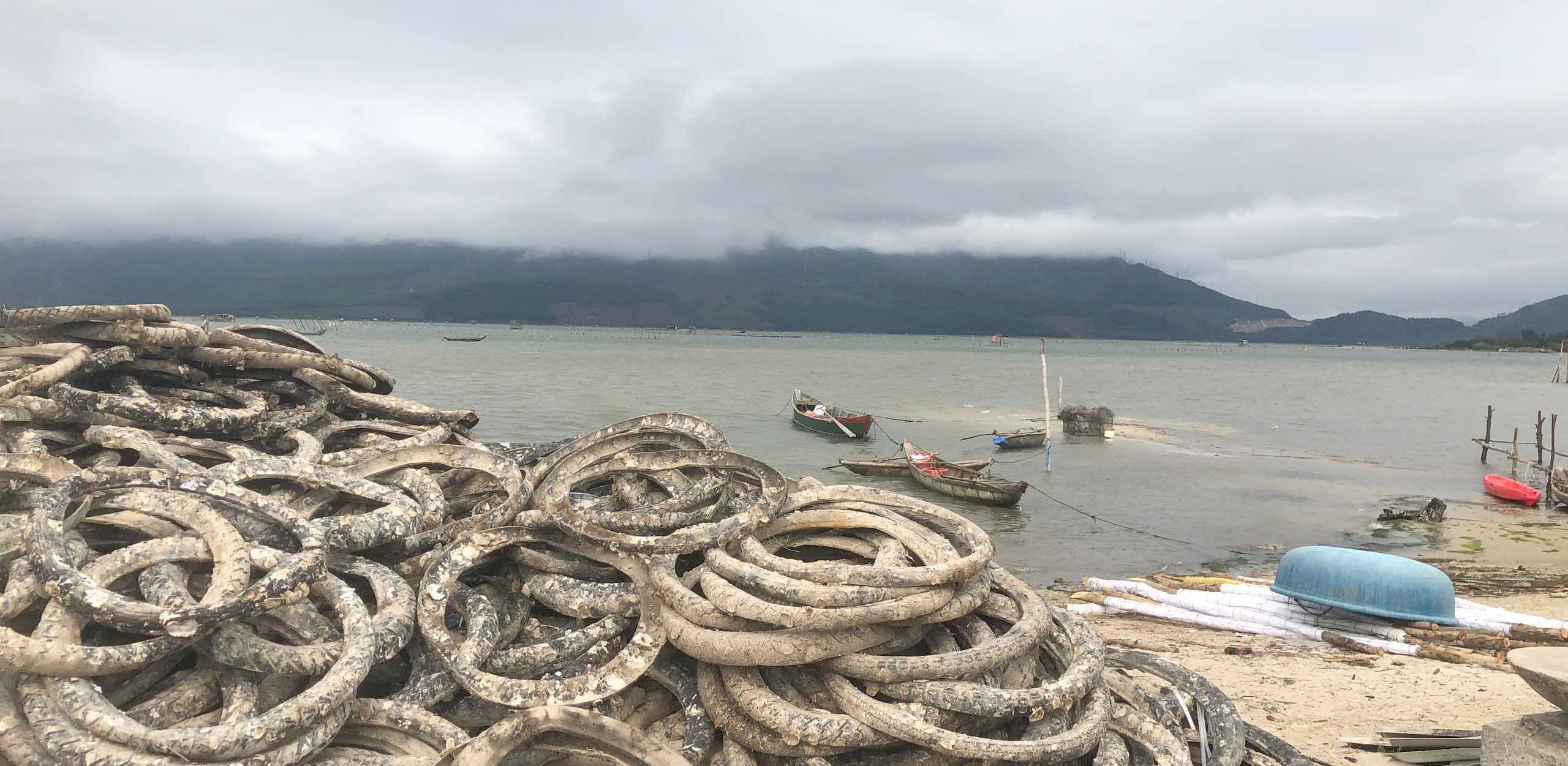 Vi nhựa dấy lên lo ngại rủi ro tiềm ẩn với người tiêu thụ thủy sản