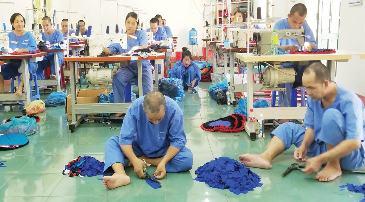 Lao động trị liệu - liệu pháp hiệu quả cho bệnh nhân tâm thần