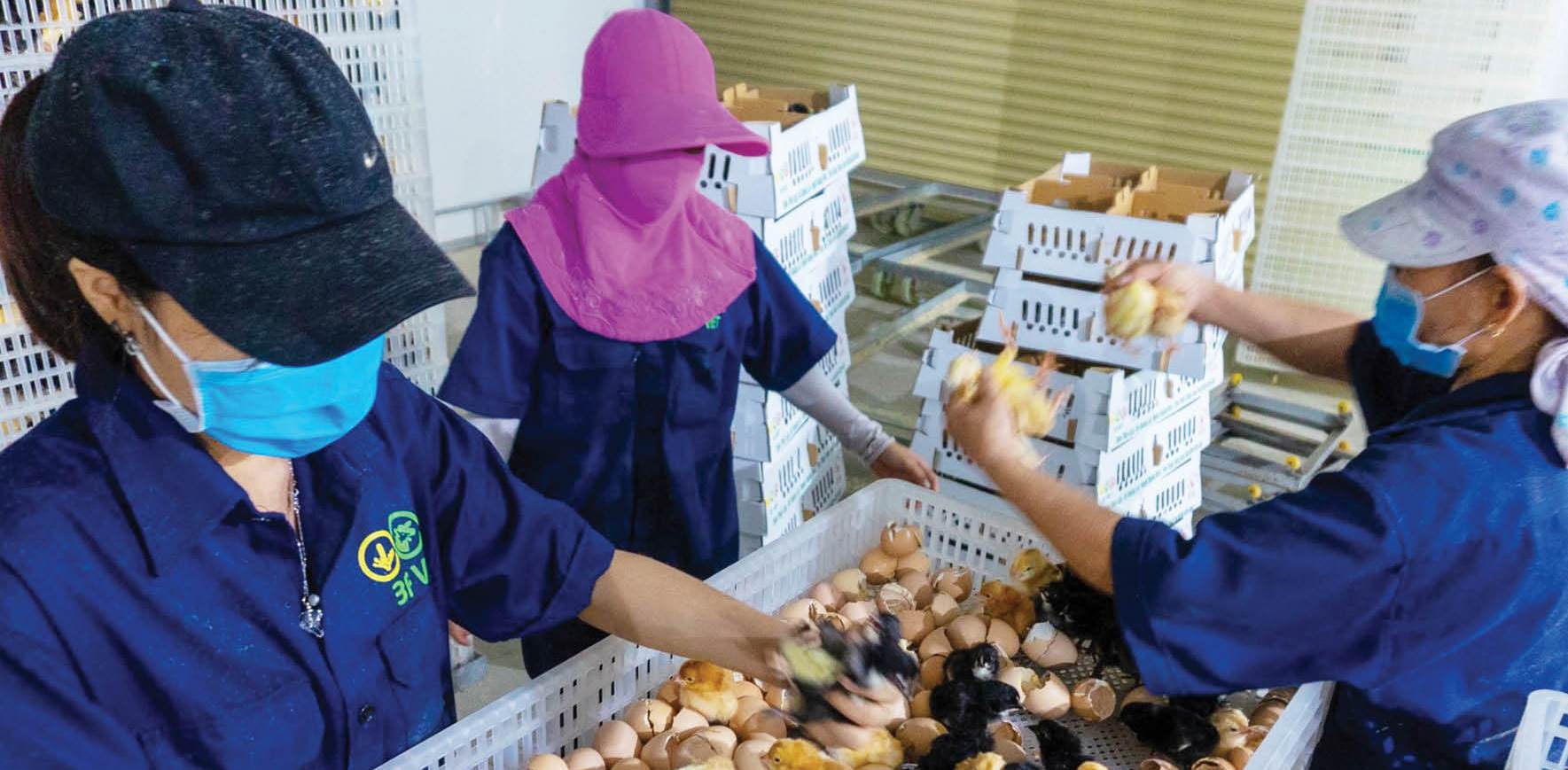 Doanh nghiệp “nghỉ” - nhìn ở khía cạnh xã hội