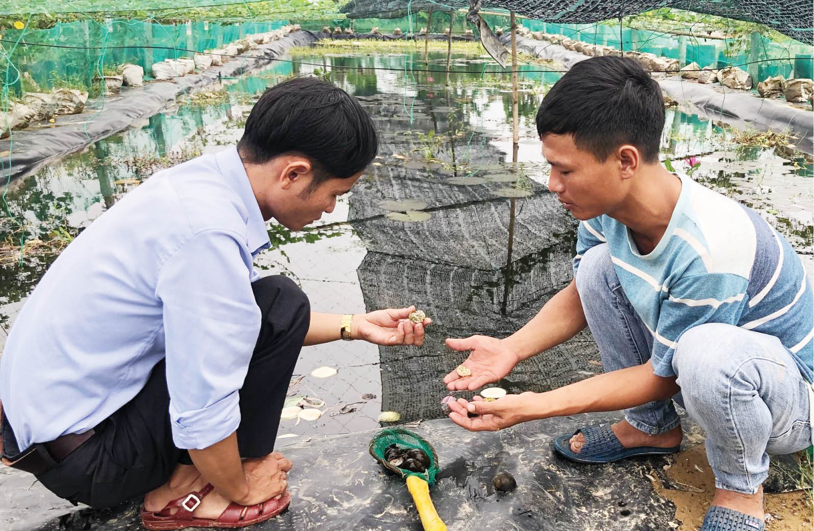 Xây dựng nông thôn giàu, đẹp