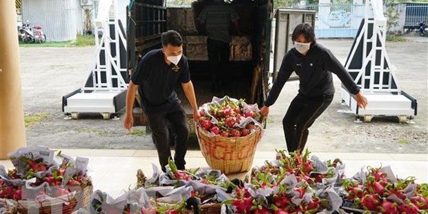 Thúc đẩy tiêu thụ nông sản, chống khai thác hải sản bất hợp pháp