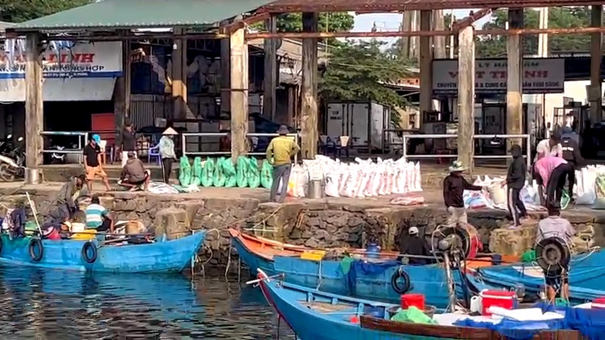 Xử phạt 2 trường hợp không đăng ký tàu cá theo quy định