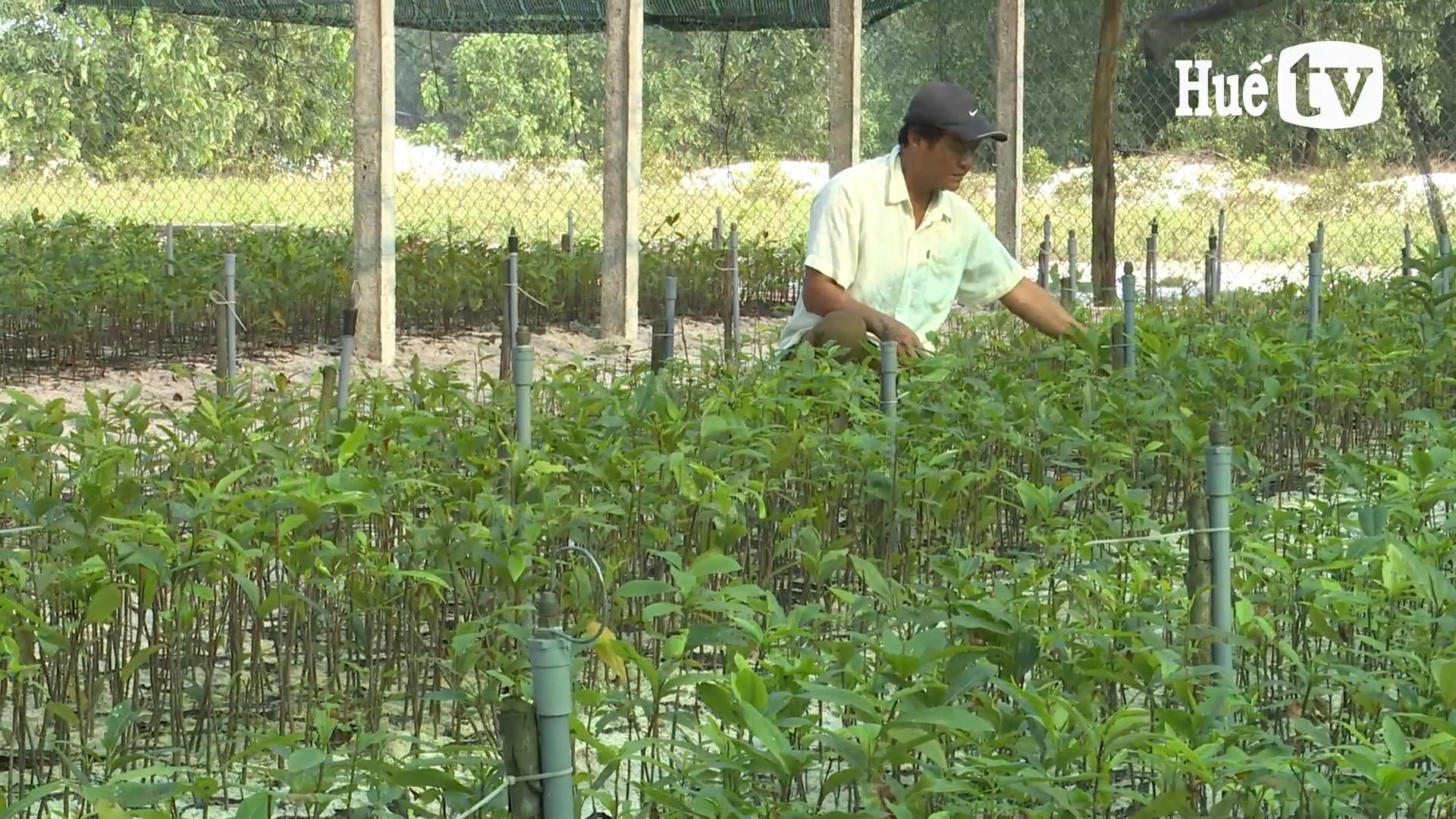 Bản tin Kinh tế ngày 22 4