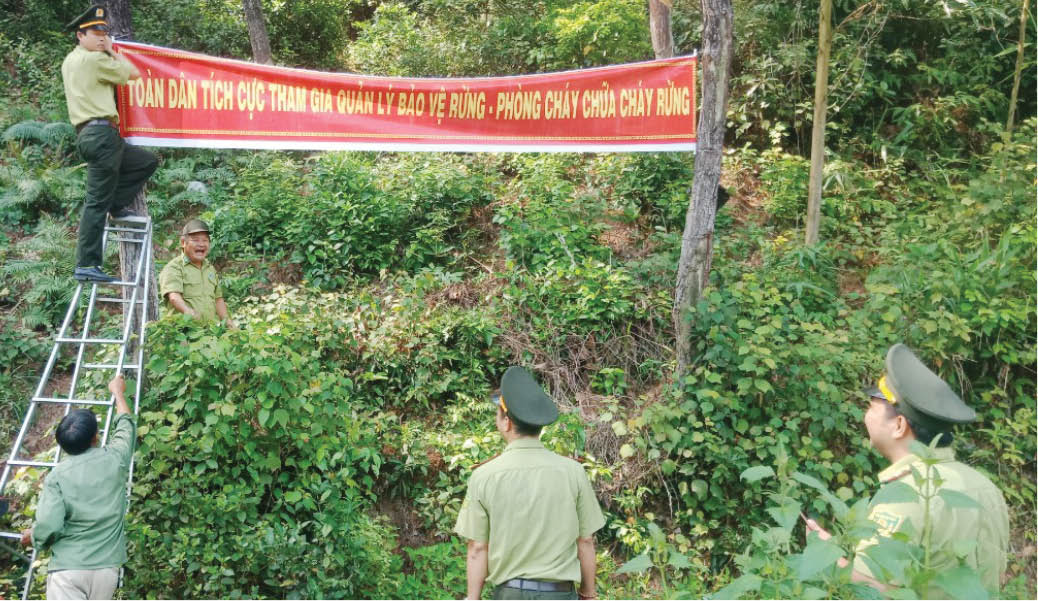 Thay đổi cách bảo vệ rừng