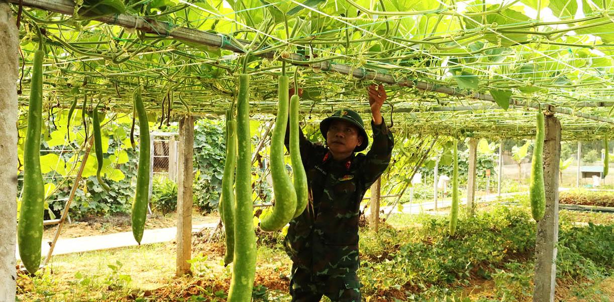 Vượt khó xây dựng doanh trại