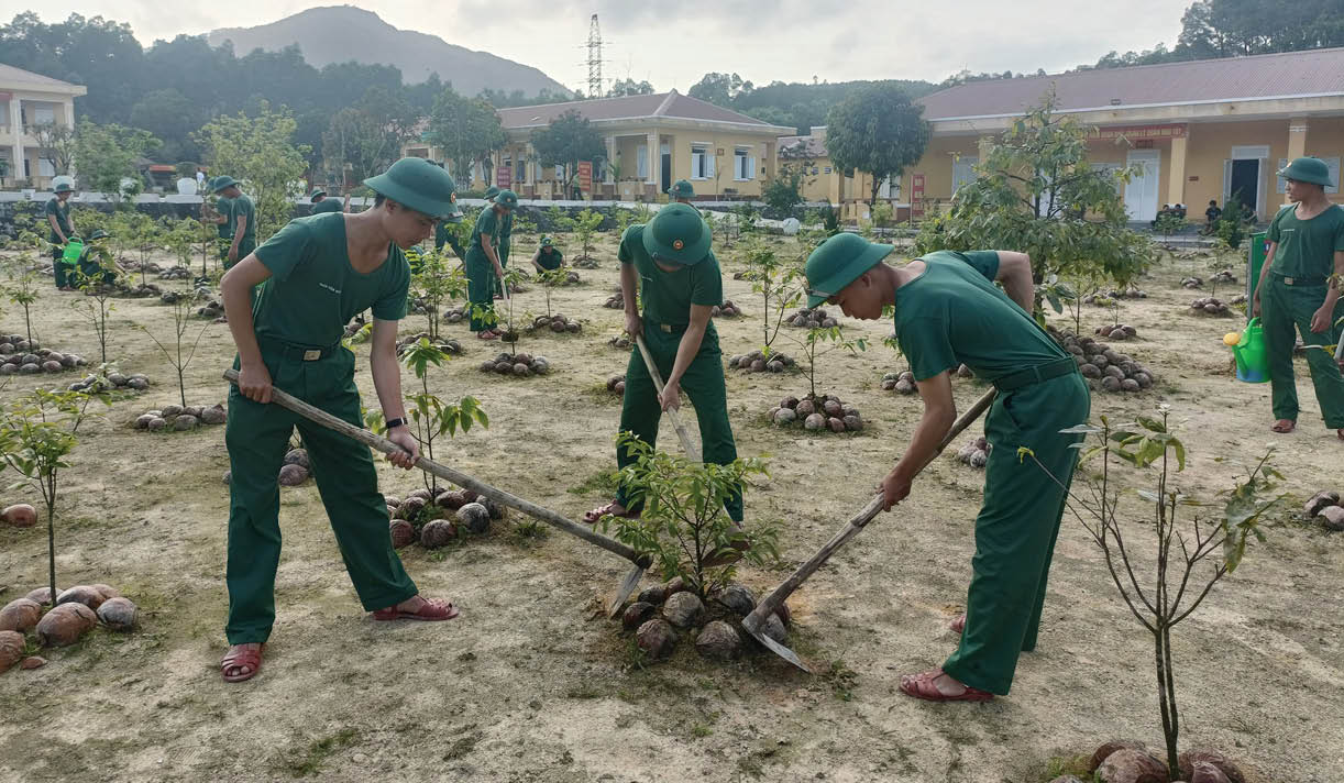 Điểm sáng phong trào “Mai vàng trước ngõ”