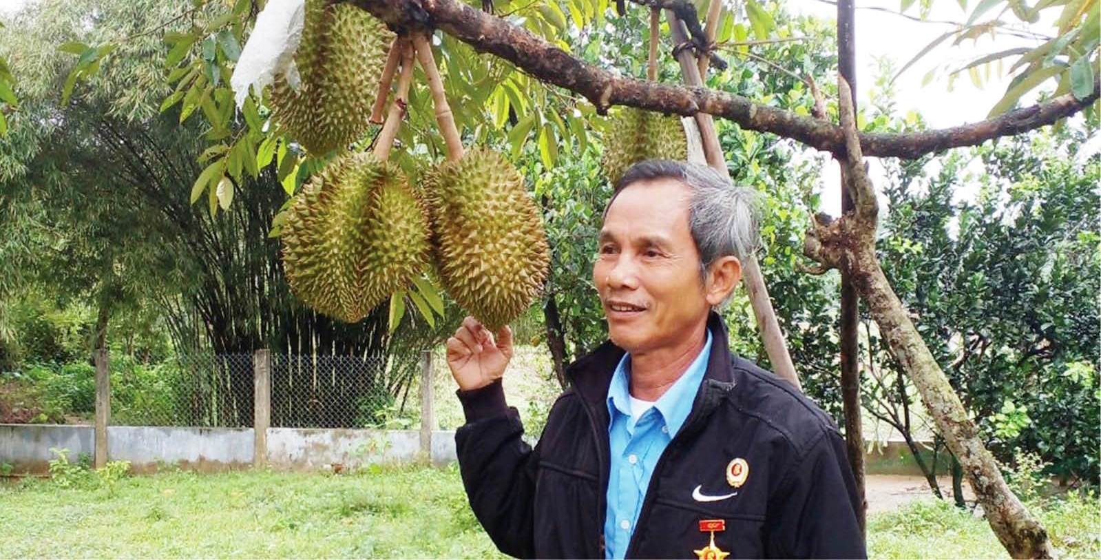 Đổi thay nơi thượng nguồn sông Truồi