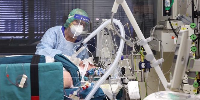 WHO Số ca tử vong vì COVID-19 giảm 95 trong năm nay