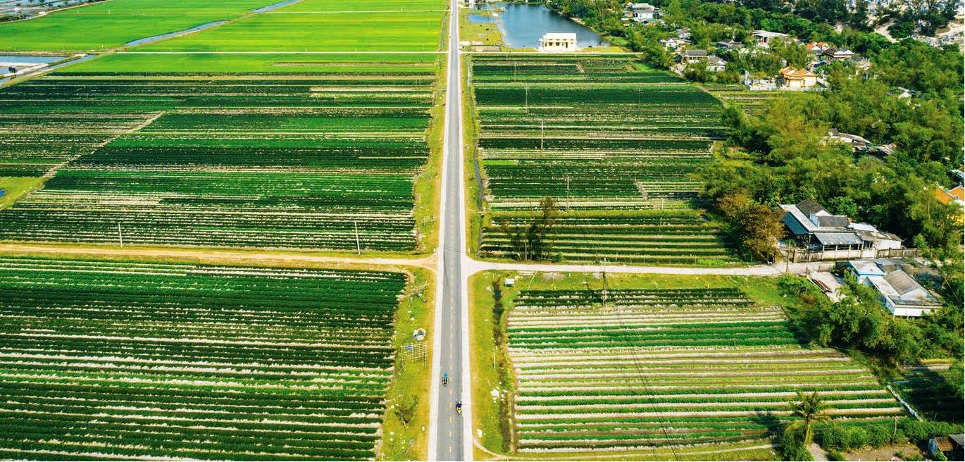 Du lịch về làng