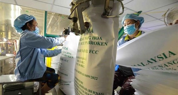 Xuất khẩu gạo những tháng đầu năm 2023 có nhiều điểm sáng