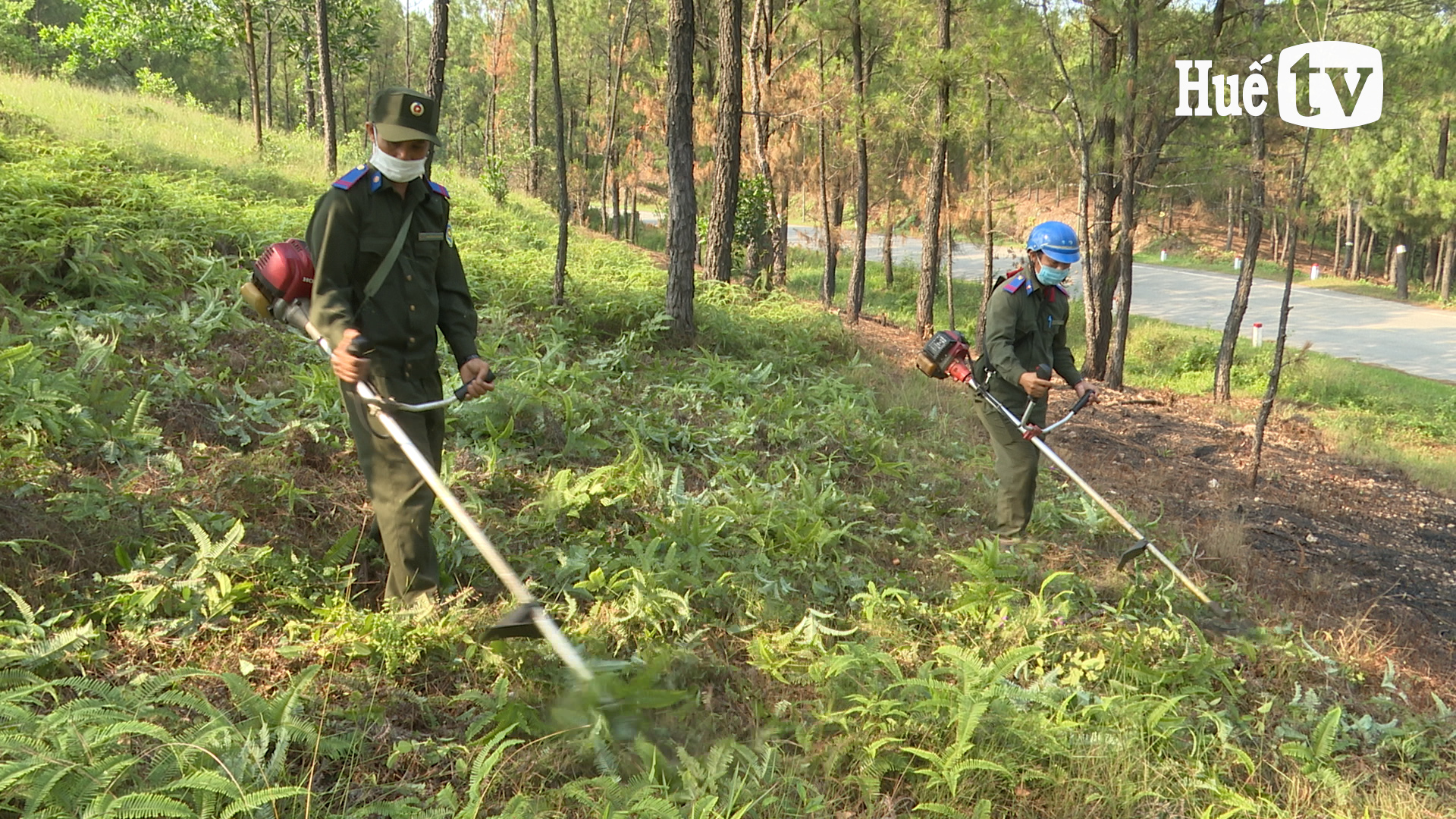 Phòng cháy chữa cháy rừng