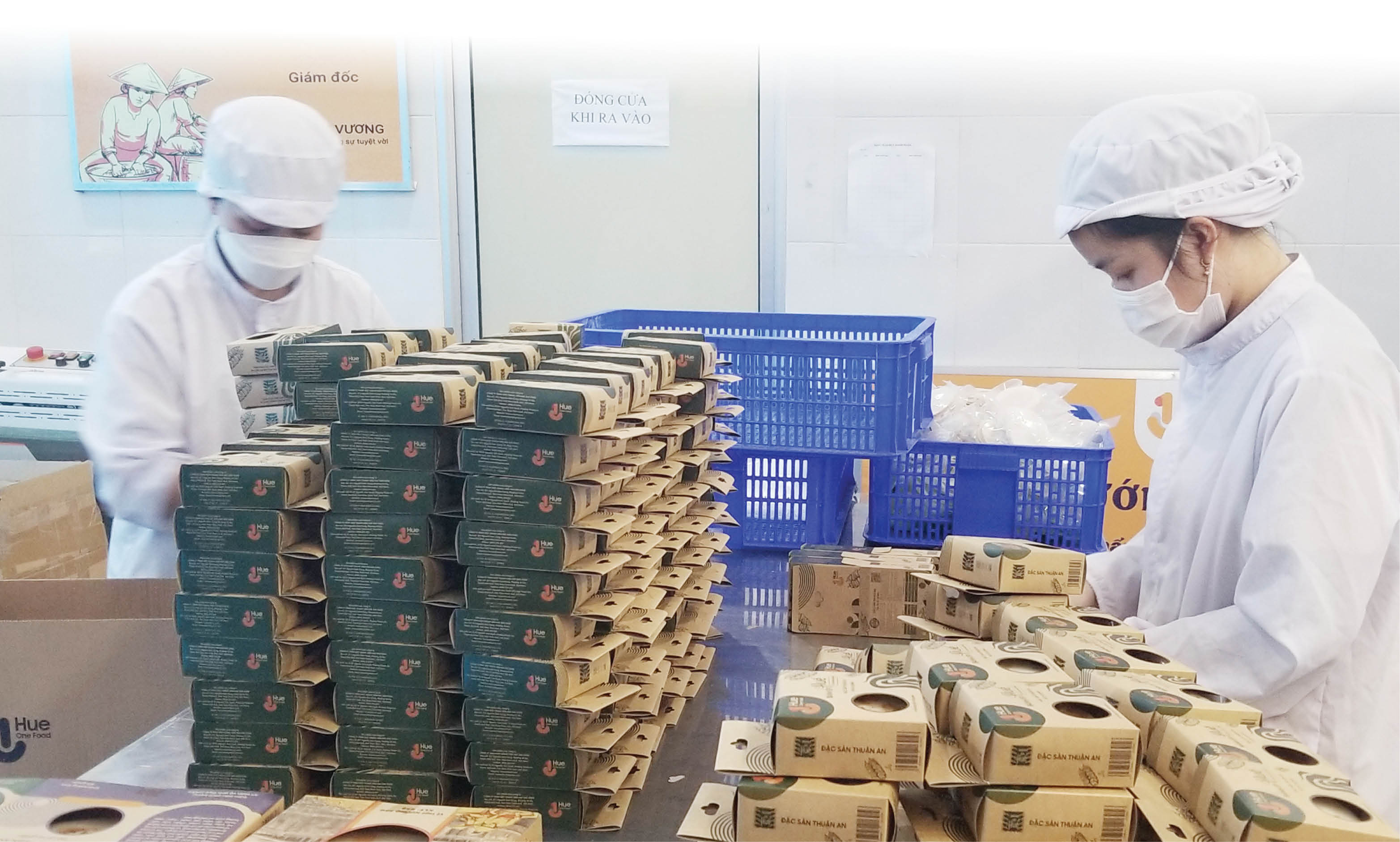 Rộng đường chọn việc